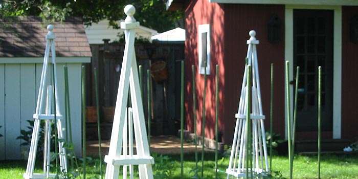 kitchen garden obelisks